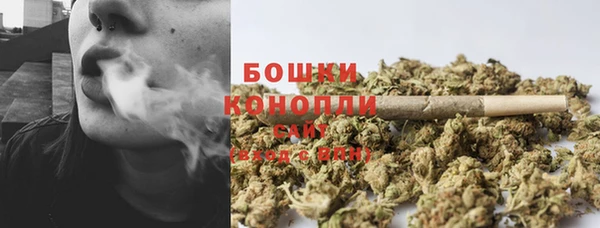 spice Новозыбков