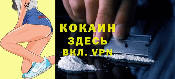 ECSTASY Новодвинск