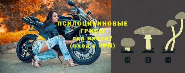 ECSTASY Новодвинск