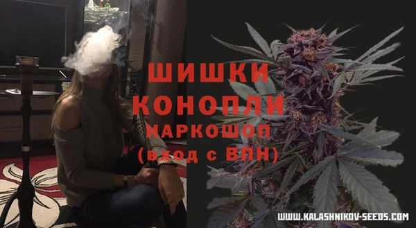 spice Новозыбков